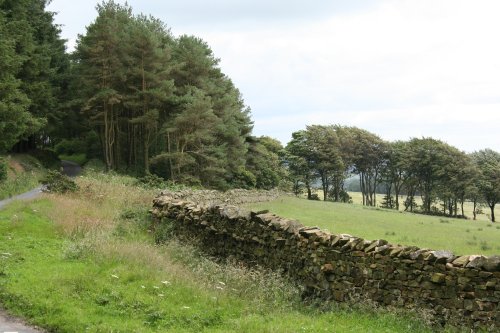 Beacon Fell Country Park