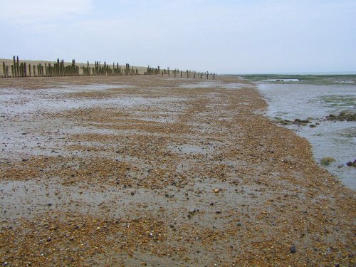 Winchelsea Beach