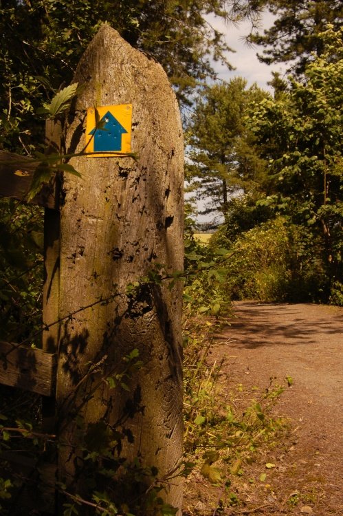 Hartshill Hayes Country Park