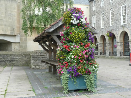 Flowers in the town square