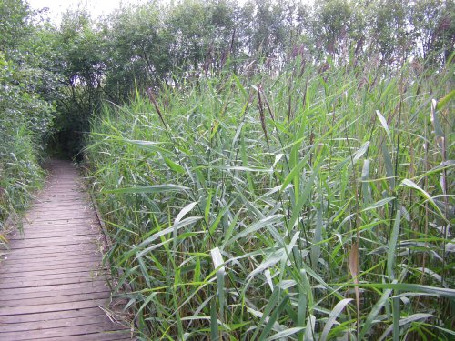Anglers Country Park