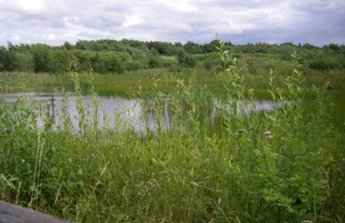 Anglers Country Park