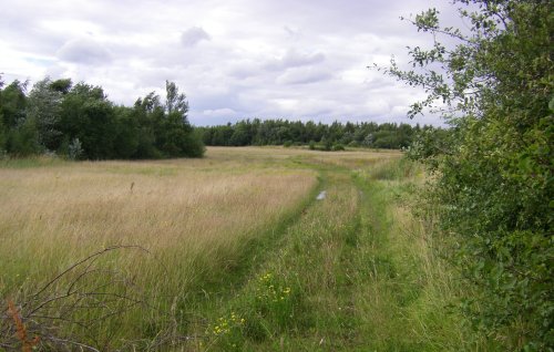 Anglers Country Park