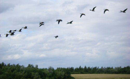 Anglers Country Park