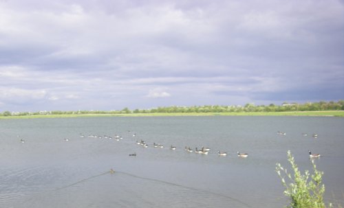Anglers Country Park
