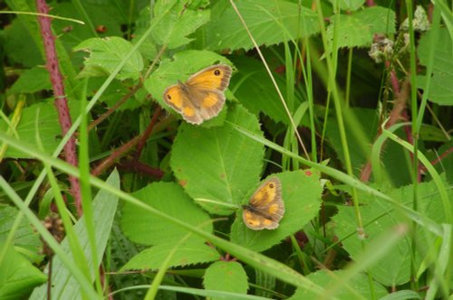 Anglers Country Park