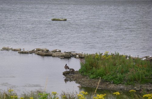Anglers Country Park