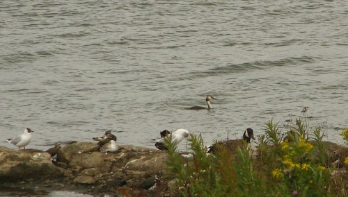 Anglers Country Park