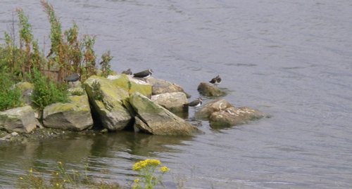 Anglers Country Park