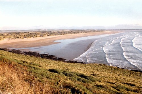 Saunton