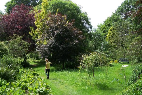 Garden at Dalemain, Penrith, Cumbria