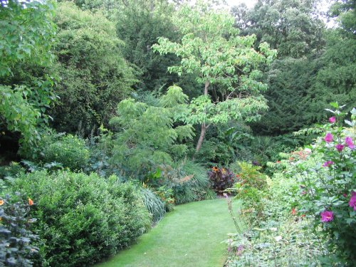 Hinton Ampner Garden