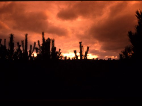 Cannock Chase Country Park