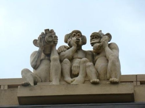 Waterloo Park Monkeys