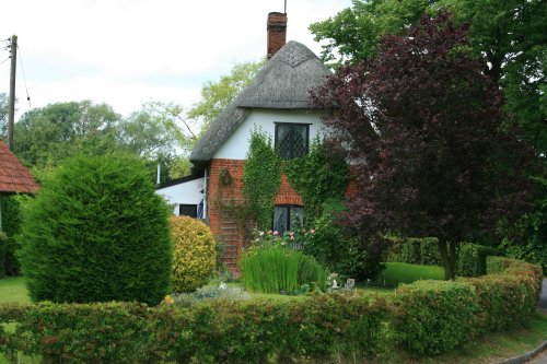 Thatched Cottage