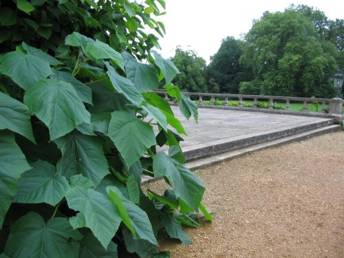 Mottisfont Abbey & Gardens