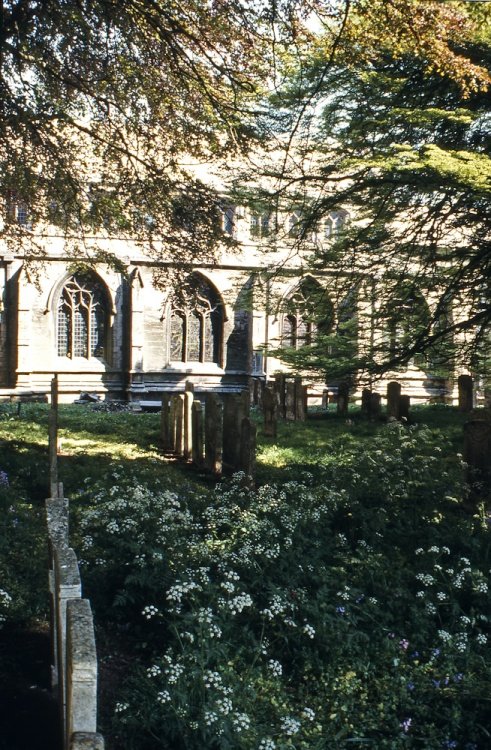 Holbeach Church from the graveyard