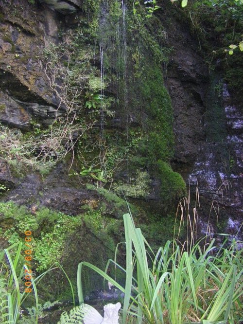 Carnglaze Caverns & The Rum Store