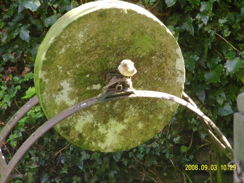 Carnglaze Caverns & The Rum Store