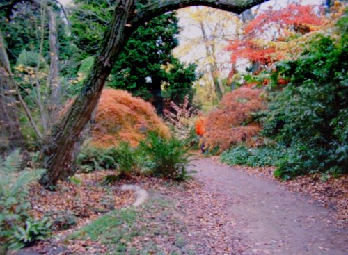 Batsford Park Arboretum