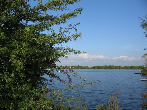 Littleton Lake