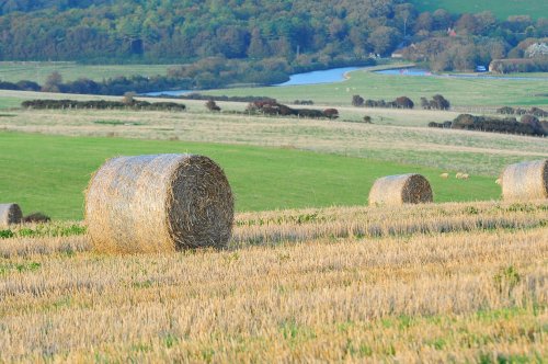 SEVEN SISTERS COUNTRY PARK