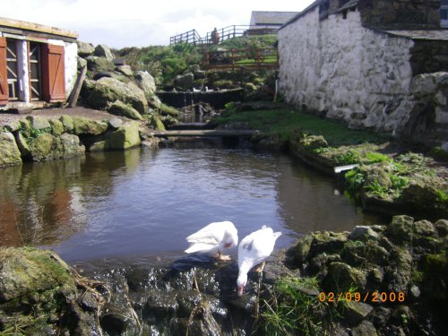 Greeb Animal Farm & Craft Workshops