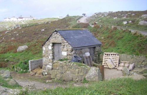 Greeb Animal Farm & Craft Workshops