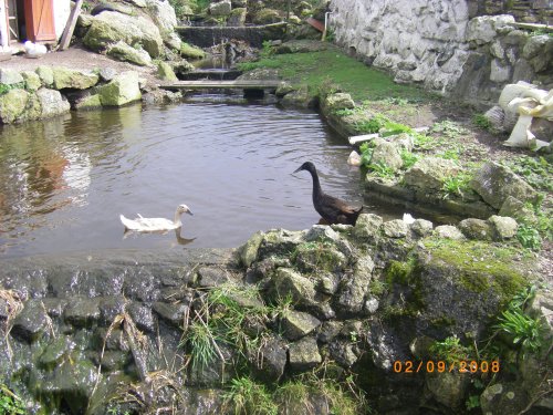 Greeb Animal Farm & Craft Workshops