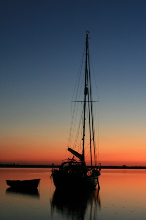 At Rest for The Night