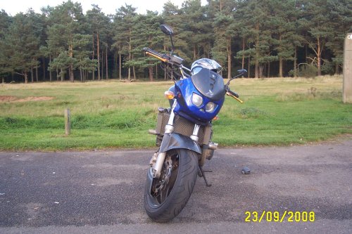 Willingham Woods near Market Rasen