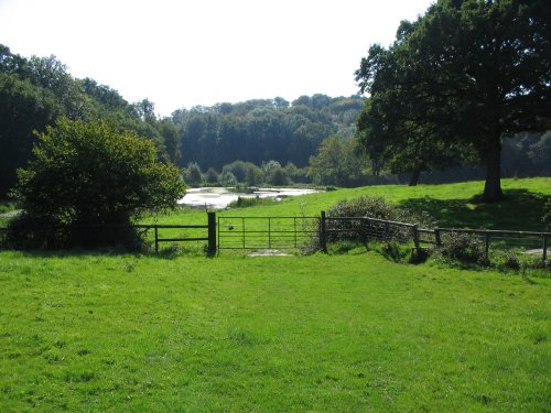 Walking around Selbourne