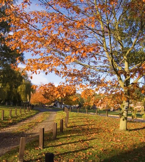 Autumn at Bearsted Green