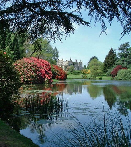 The lake at Sheffield Park