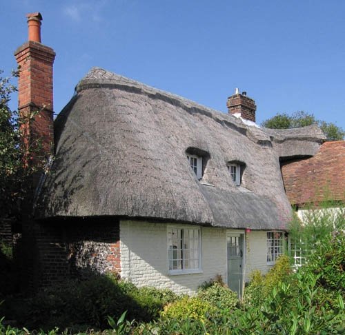 Thatched and tiled cottage