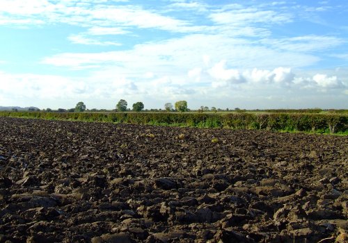A ploughed field at Ellerker