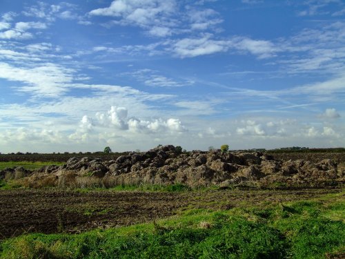 Organic matter ready for the fields at Ellerker