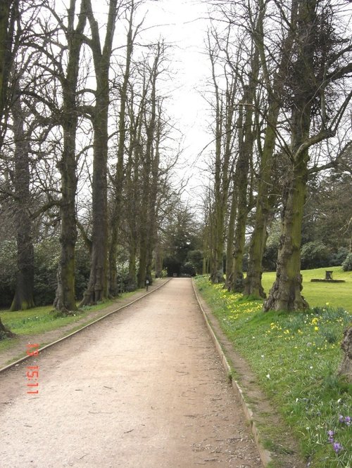 A pathway in Cawthorne Park.