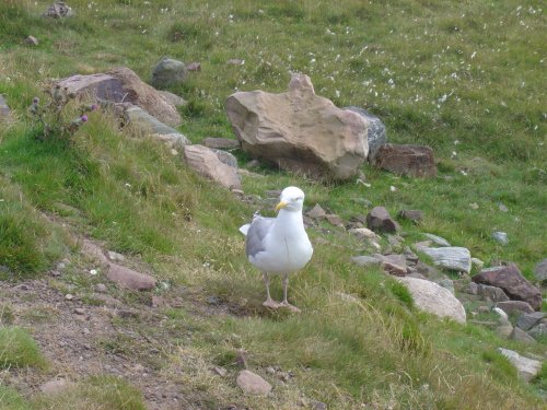 Stoer Head (Ru Stoer) Lighthouse