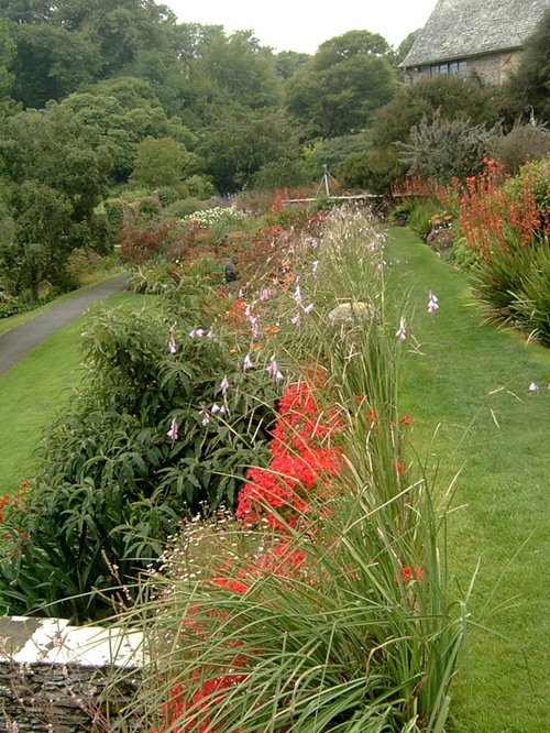Coleton Fishacre Garden