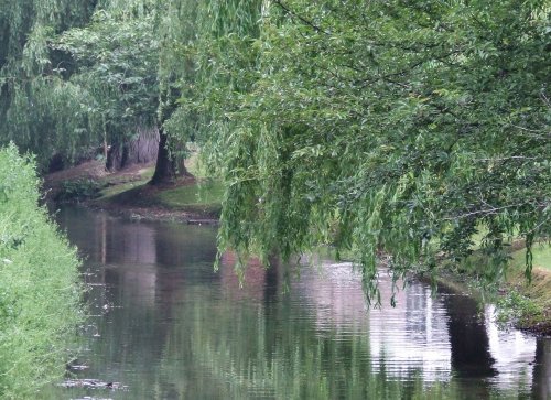 The beck at Common Lane
