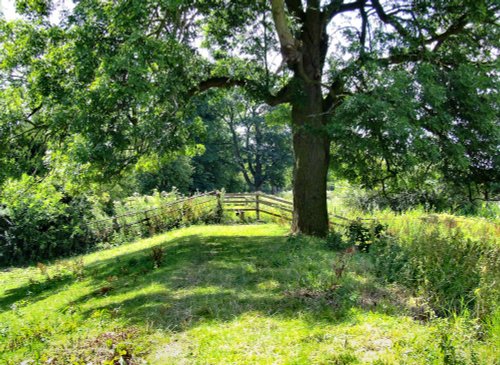 The walk along the bank of the River Ouse at Howden Dyke