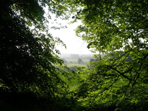 Wheatley from Green Lane in Spring.