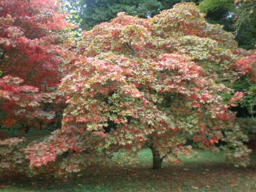 Changing Colours 25.10.08