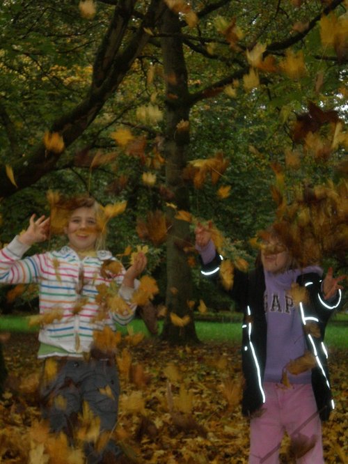 Great Fun!  25.10.08