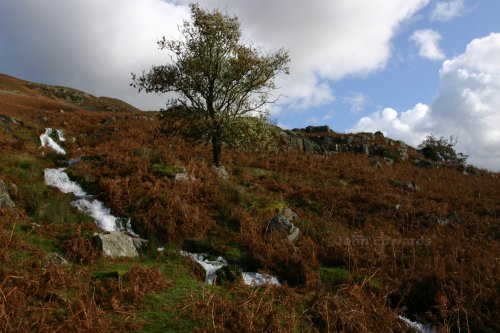 Crummock Water