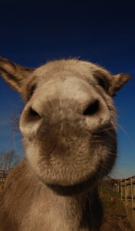 Kingsbury Water Park