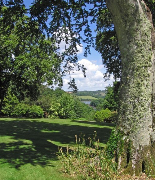 The River Fal from Trelissick Gardens