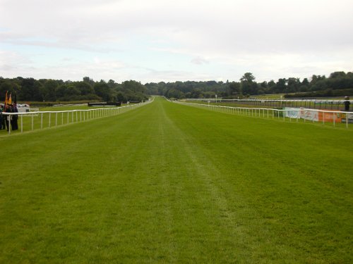 Lingfield