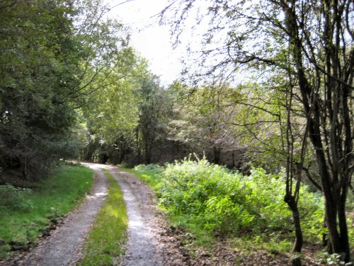 A walk in Dalby Forest North Yorkshire